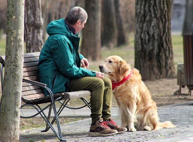 Family spending quality time with their dog in a park setting